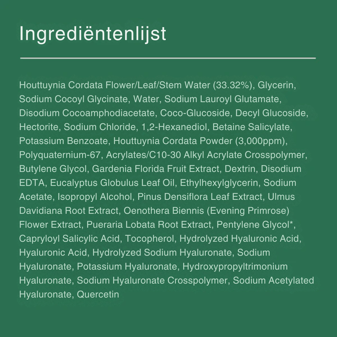 HEARTLEAF PORIËN REINIGING SCHUIM